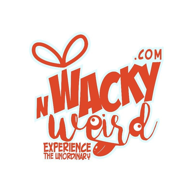 wacky n weird logotips ar rokrakstā zīmētiem oranžiem burtiem